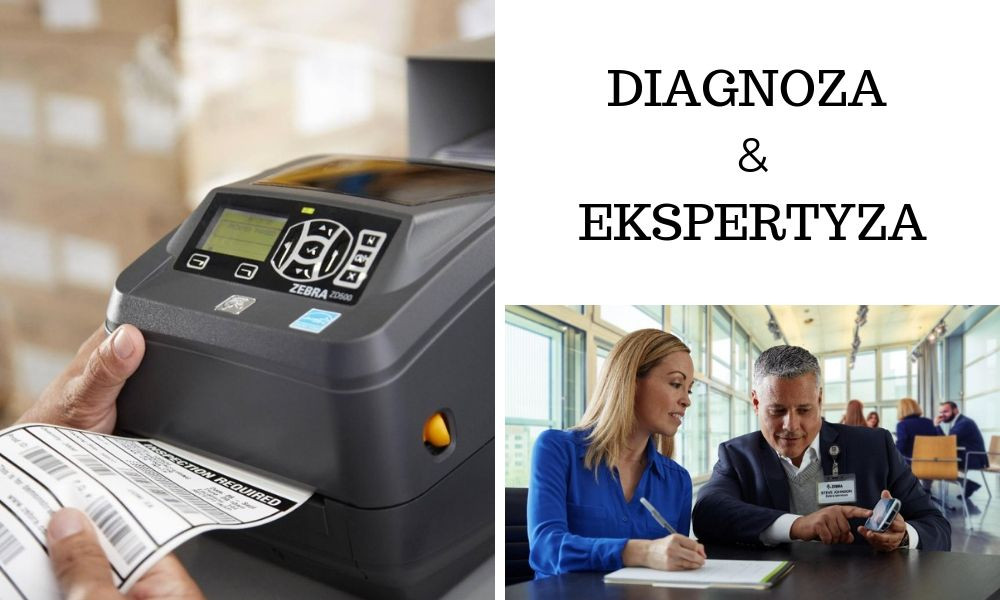 Diagnoza i ekspertyza