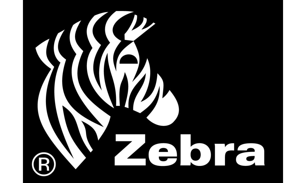 Moduł ethernet do drukarki Zebra ZD410