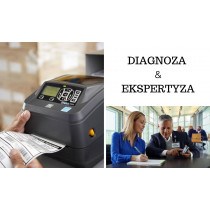 Diagnoza i ekspertyza